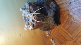 20160526_115255.jpg