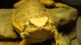 DSC00390.jpg