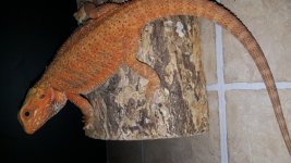 20160519_204817.jpg