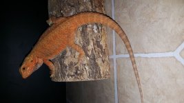 20160519_204847.jpg