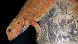 20160519_204832.jpg
