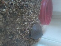 20160512_164219.jpg