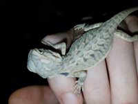 20160710_141244.jpg