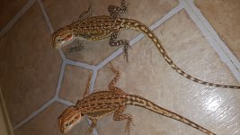 20160526_120719.jpg