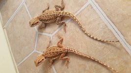 20160526_120712.jpg