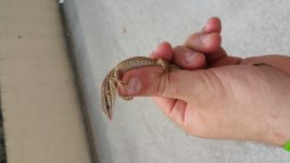 20160318_132545.jpg