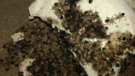 20160501_135530.jpg