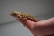 IMG_5721.jpg
