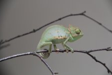 IMG_5723.jpg