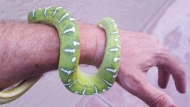 20160429_190039.jpg