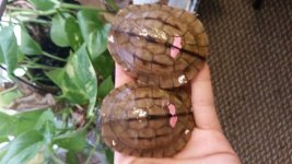 20160318_124101.jpg