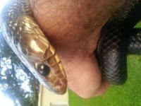 20150704_201556.jpg