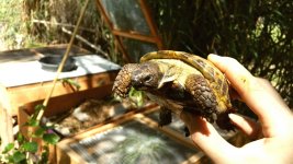 2016-04-15 16.06.14.jpg