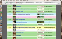 Screen Shot 2016-04-16 at 4.01.59 PM.jpg