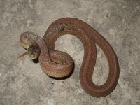IMG_0696.jpg