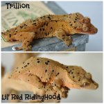 Trillion:Lil.jpg