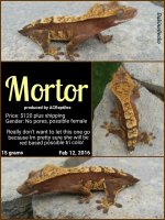 PhotoEditor-1455589647111.jpg
