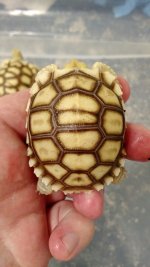 IMG_20150703_194600786.jpg
