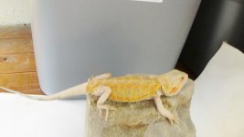DSC00841.jpg