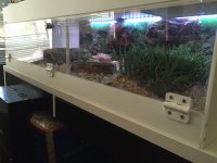 IMG_5025.jpg