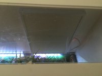 IMG_5028.jpg