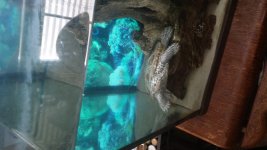 20160108_102024.jpg