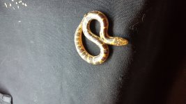 20160225_110042.jpg