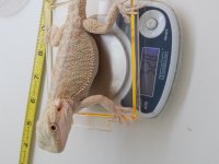 20160512_164402.jpg