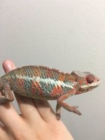 5MonthMale6(1).jpg