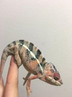 5MonthMale7(2).jpg