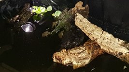 20160617_231430.jpg 20160617_231430.jpg