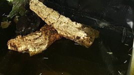20160617_231435.jpg 20160617_231435.jpg