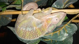 20160623_194726.jpg