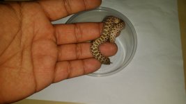 20160322_203828.jpg