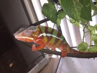 IMG_4428[1].jpg