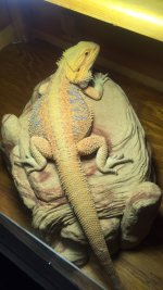 IMG_3424.jpg