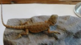 DSC00473.jpg