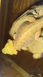 IMG_3423.jpg