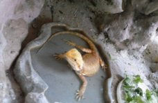 20160706_134610.jpg