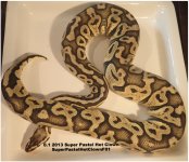 FirefoxScreenSnapz016.jpg
