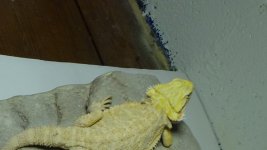 DSC00354.jpg