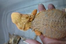20160706_171613.jpg