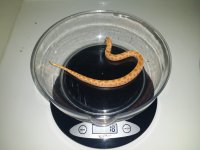 20160518_142135.jpg