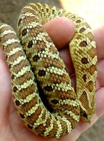 IMG_20160610_072559.jpg