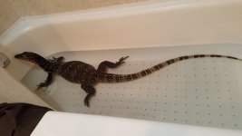 20160320_144712.jpg