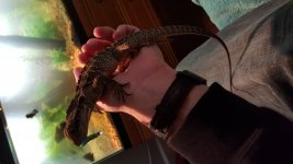 20160222_165113.jpg