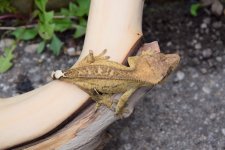 DSC_0002.jpg
