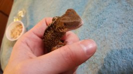 20160218_152140.jpg