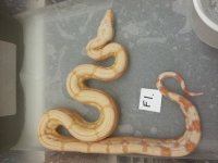 20160402_205444.jpg