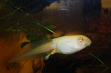 DSC_0005.jpg
